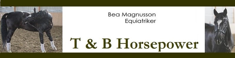 Bea Magnusson - Equiatriker